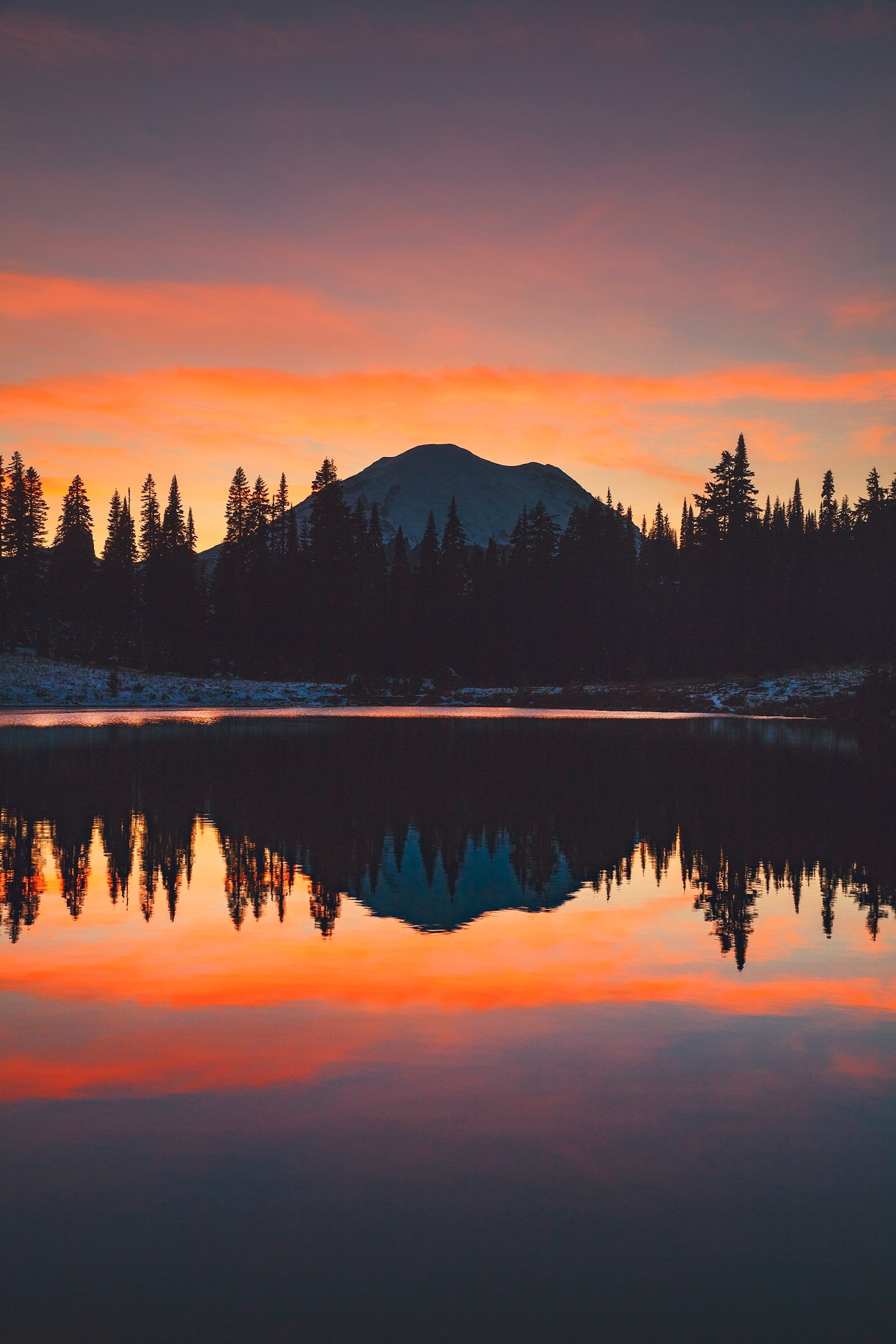 Exploring Contrast in Art Through Photography