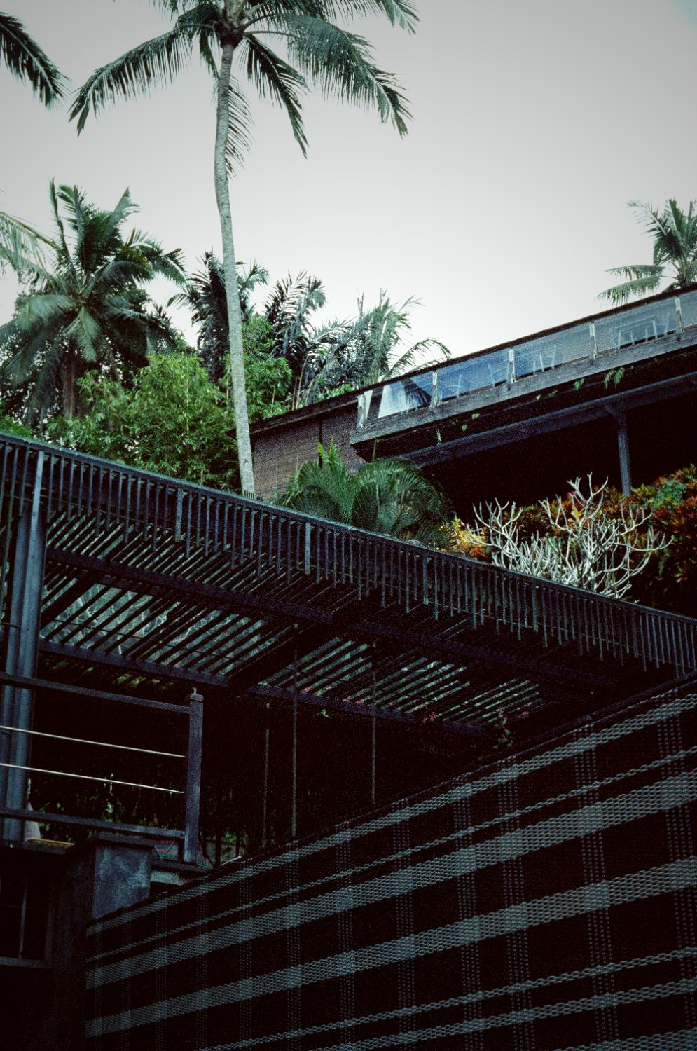 A slatted bamboo building rising among palms, seen from below