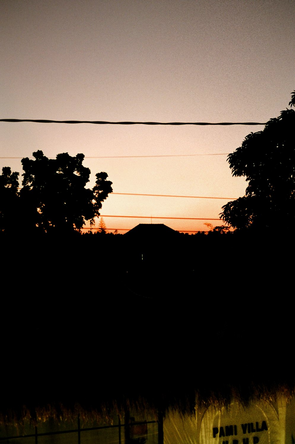 Palms in silhouette against a fading sky