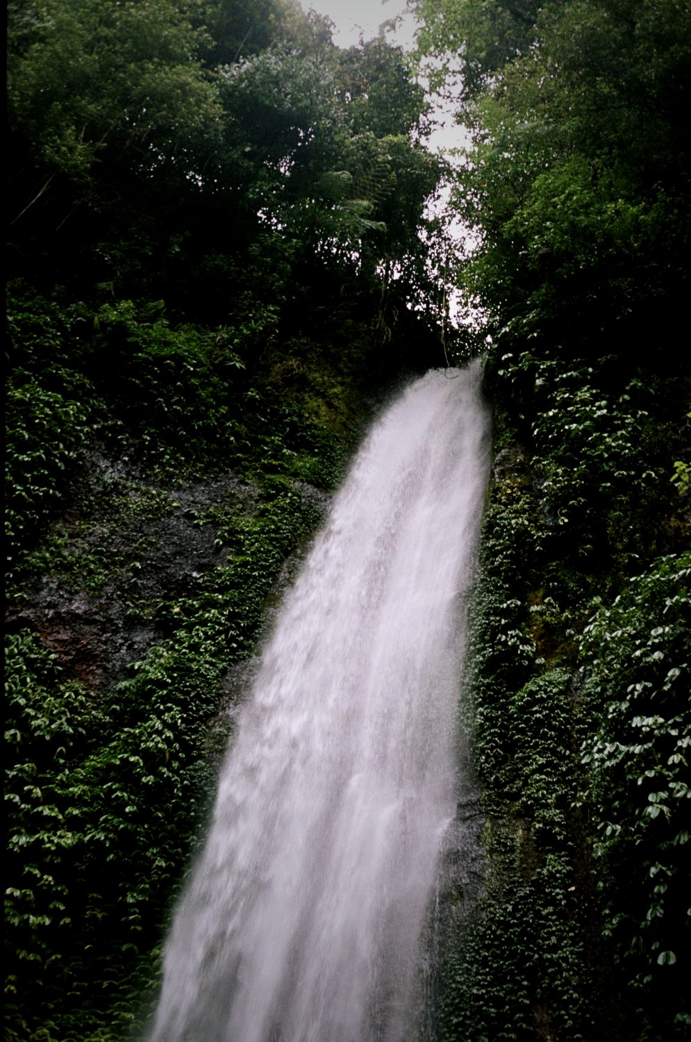 A single waterfall against dark green