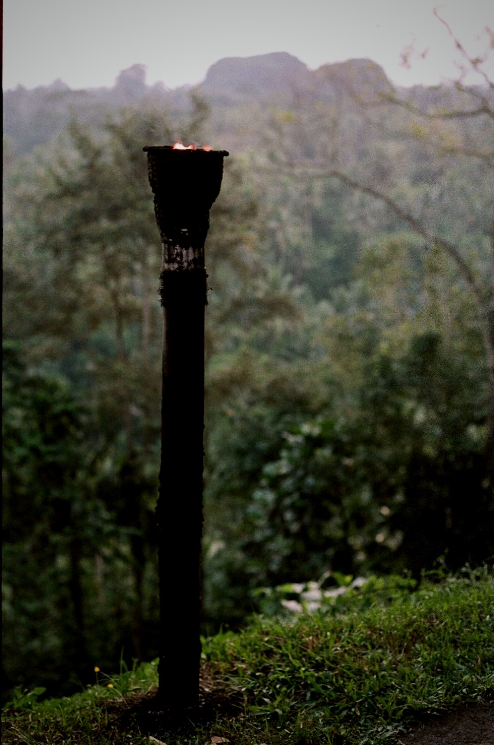 A carved torch standard on a mossy hillside at dusk